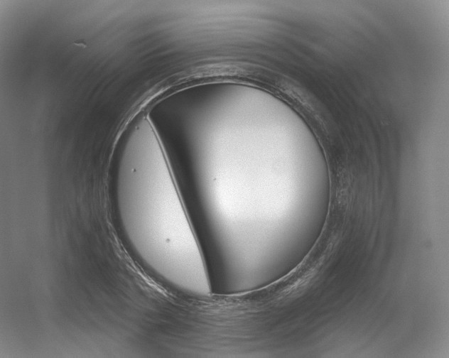 X0000056320786200508260850