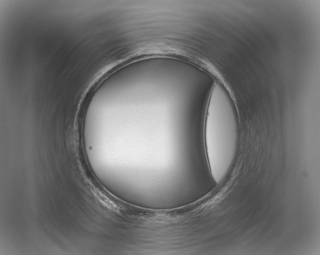 X0000056320787200508260850