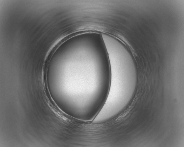 X0000056320788200508260850