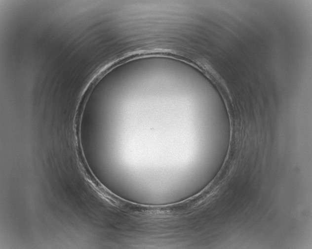 X0000056320789200508260850