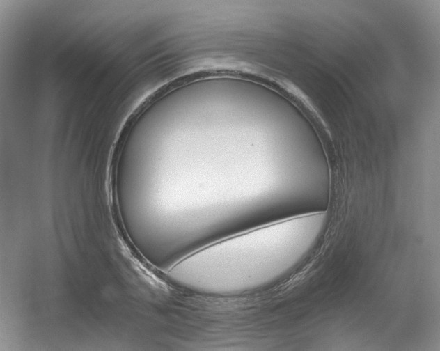 X0000056320791200508260850