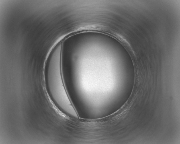 X0000056320792200508260850