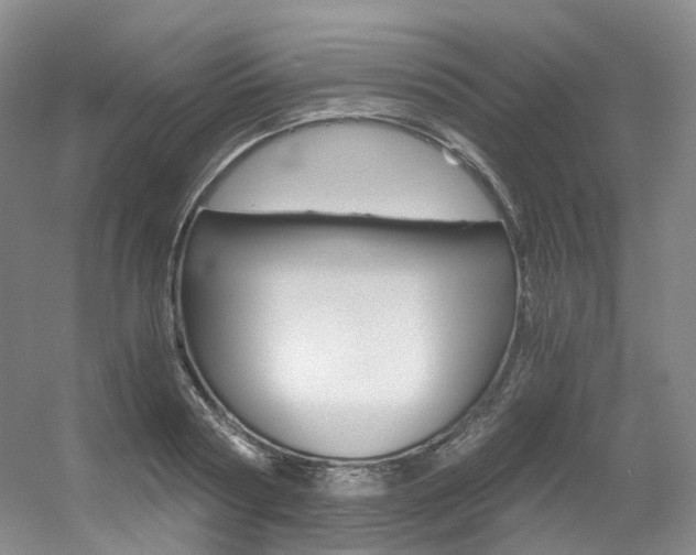 X0000056320794200508260849