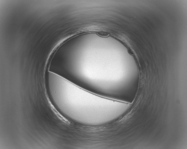 X0000056320795200508260849