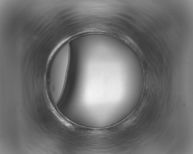 X0000056320796200508260849