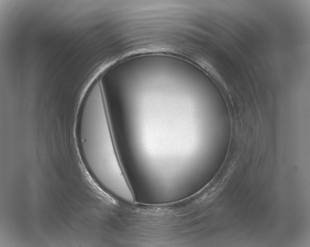 X0000056320797200508260849