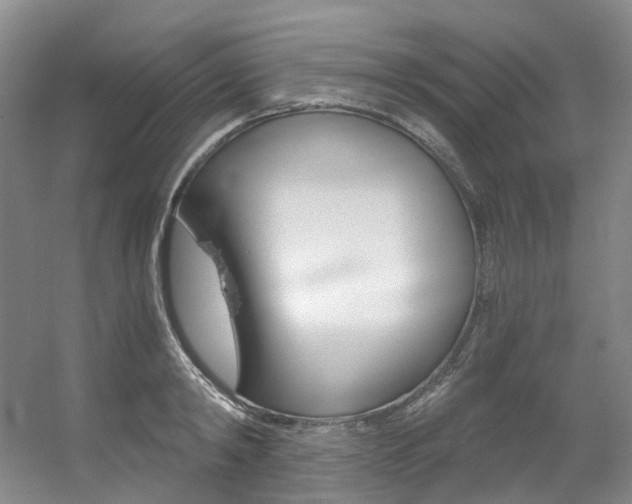 X0000056320798200508260849