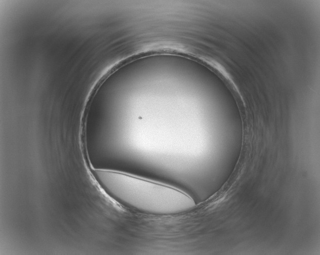 X0000056320799200508260849