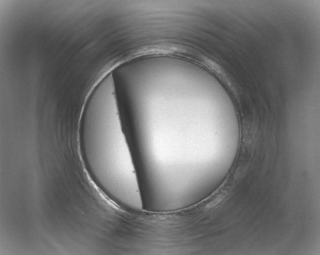 X0000056320802200508260849