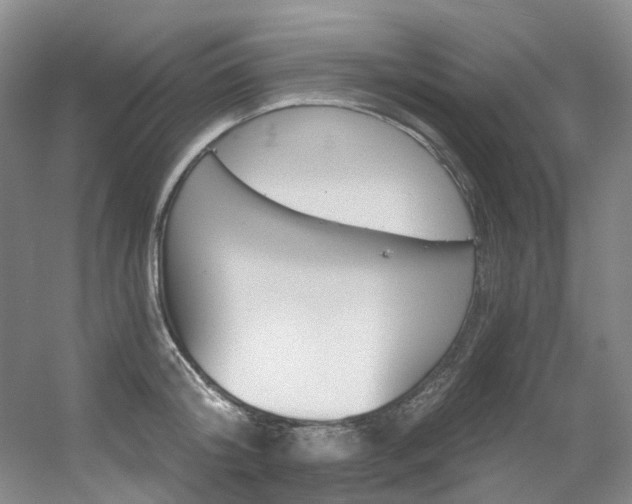 X0000056320804200508260849