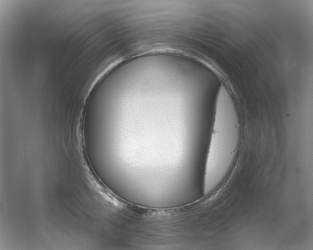 X0000056320806200508260849