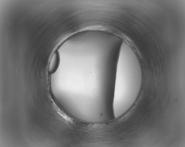 X0000056320808200508260849