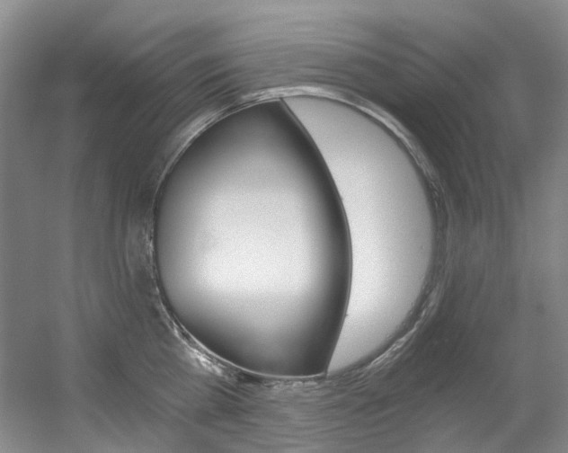 X0000056320809200508260849