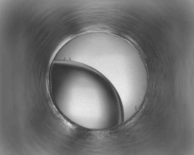 X0000056320812200508260849