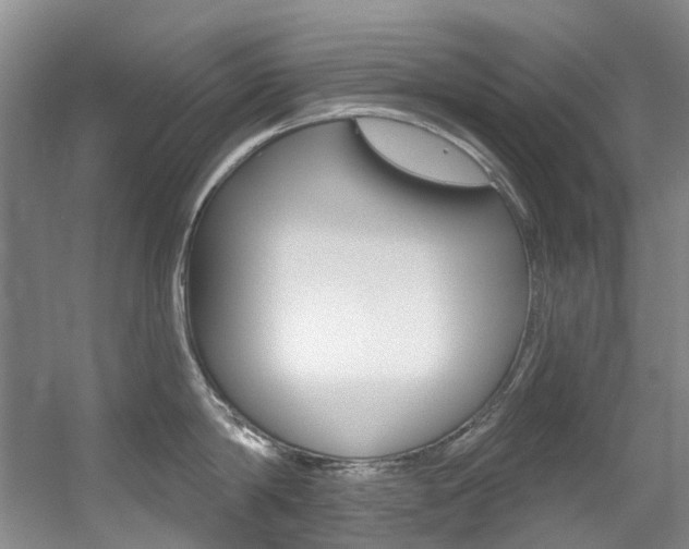 X0000056320814200508260849