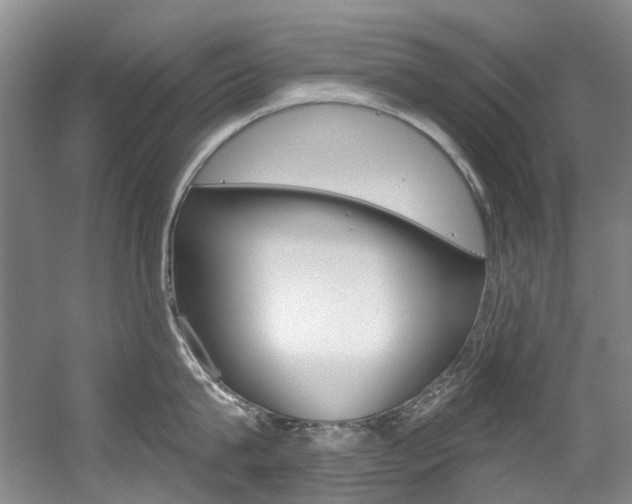 X0000056320815200508260849