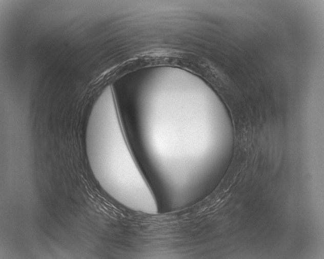 X0000056320821200508260848