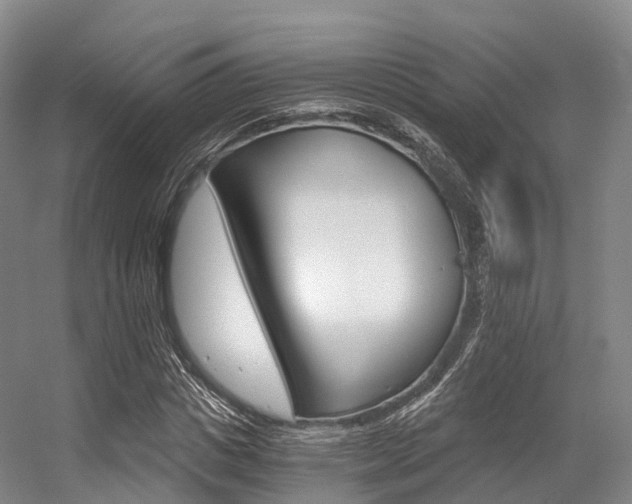 X0000056320825200508260848