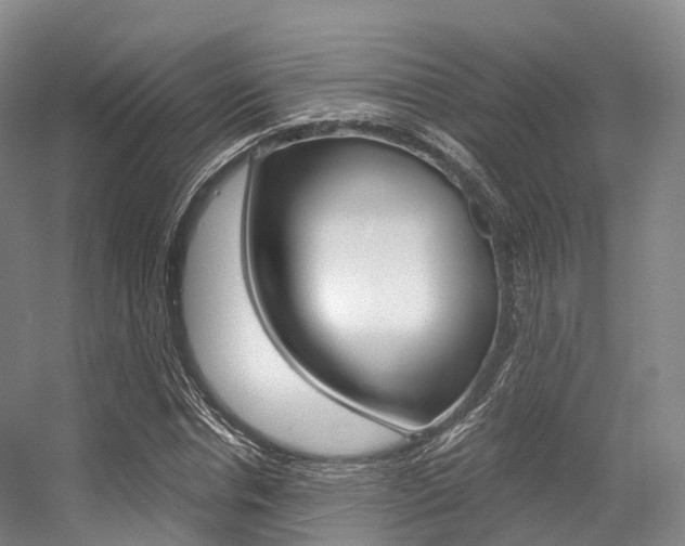 X0000056320826200508260848