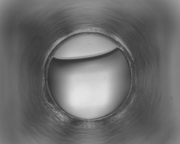 X0000056320829200508260849