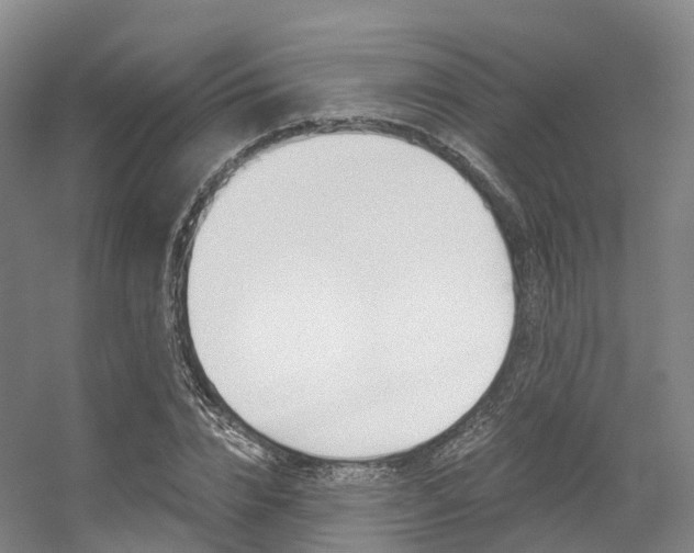 X0000056320832200508260849