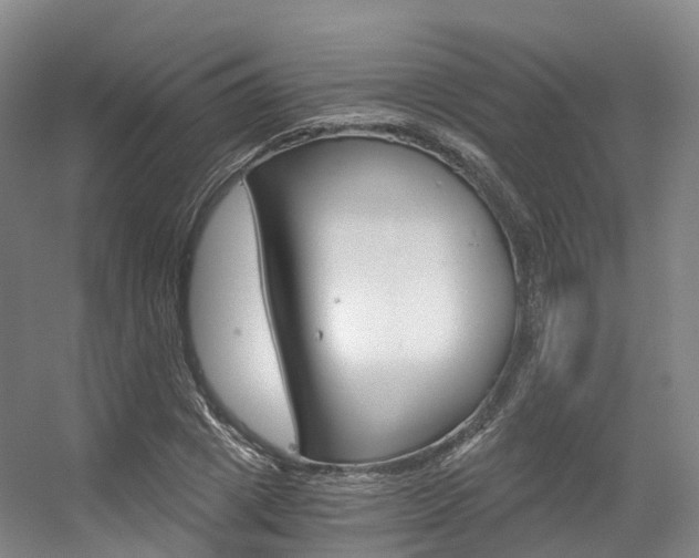 X0000056320833200508260849