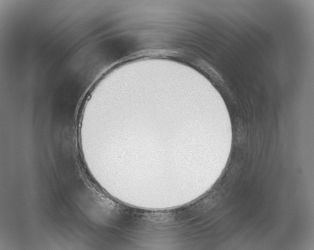 X0000056320836200508260849