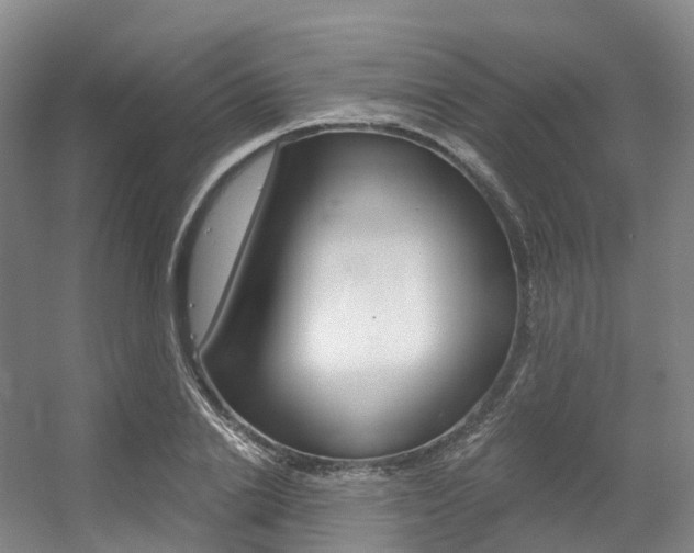 X0000056320838200508260849