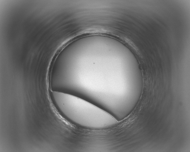 X0000056320840200508260849