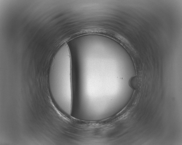 X0000056320841200508260849