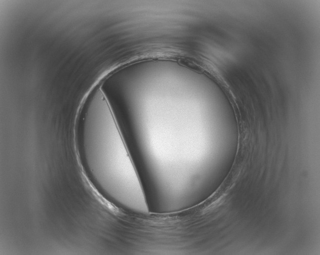 X0000056320843200508260849