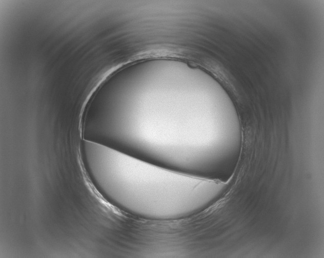 X0000056320844200508260849