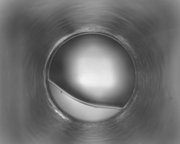 X0000056320846200508260849