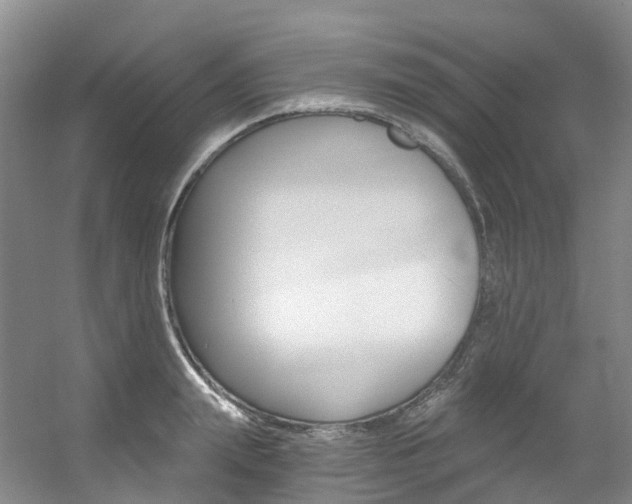 X0000056320847200508260849