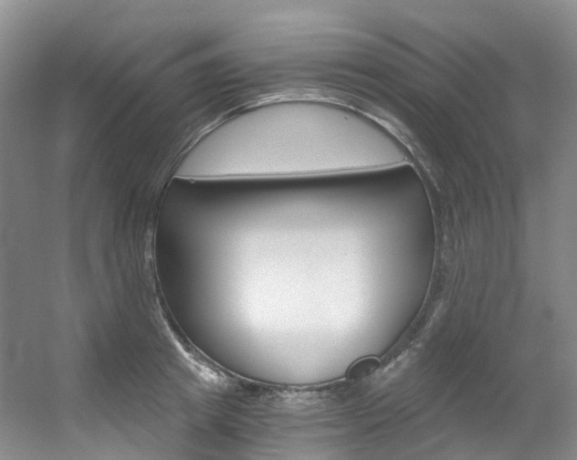 X0000056320849200508260849