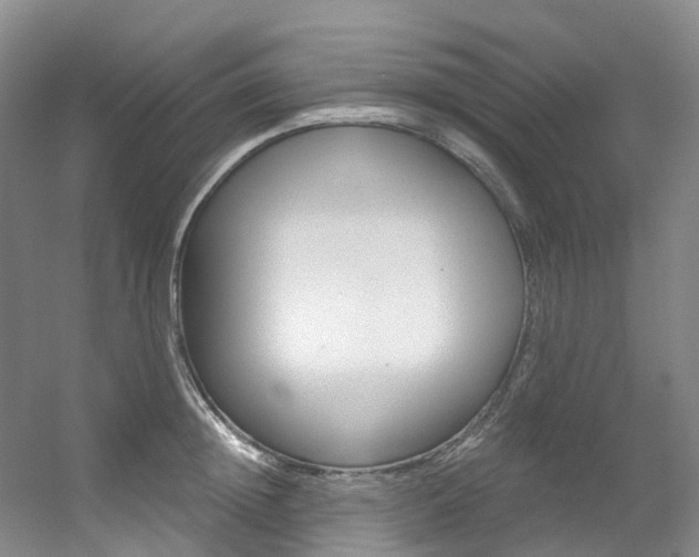 X0000056320852200508260849