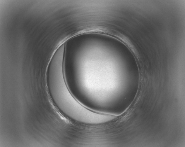 X0000056320858200508260849