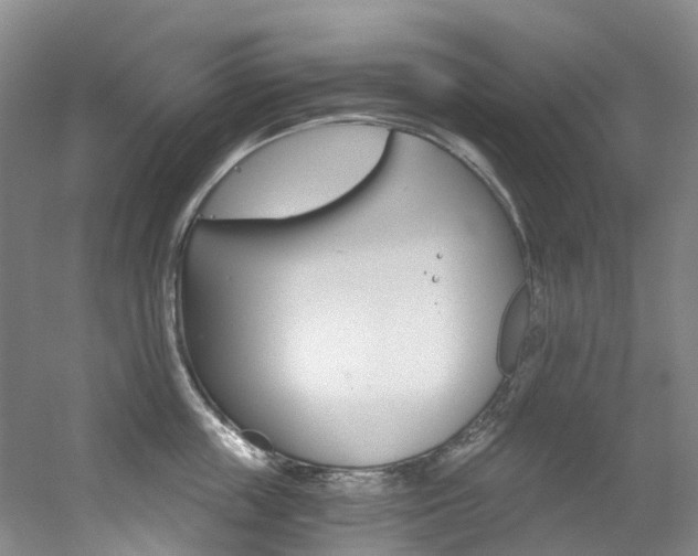 X0000056320859200508260849