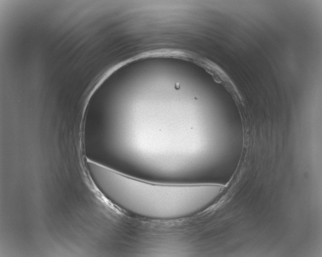 X0000056320860200508260849