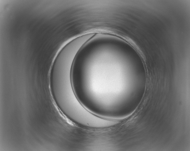 X0000056320862200508260849
