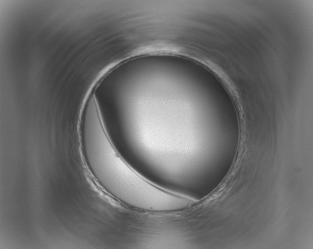 X0000056320864200508260849