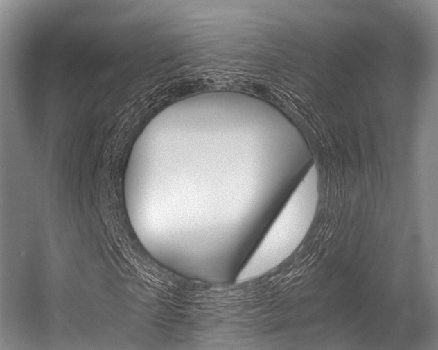 X0000056320865200508260848