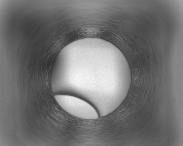 X0000056320866200508260848