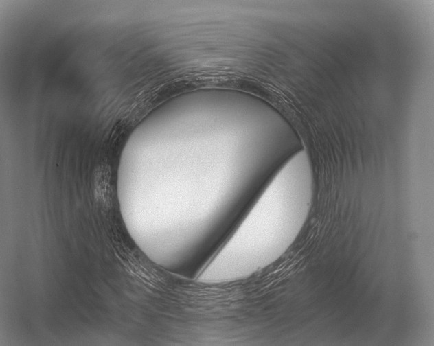 X0000056320867200508260848