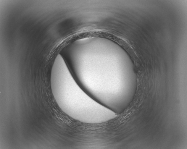 X0000056320871200508260848