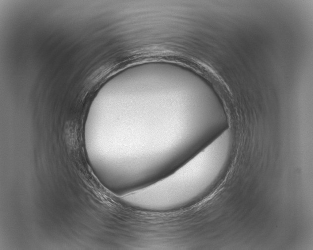 X0000056320873200508260848