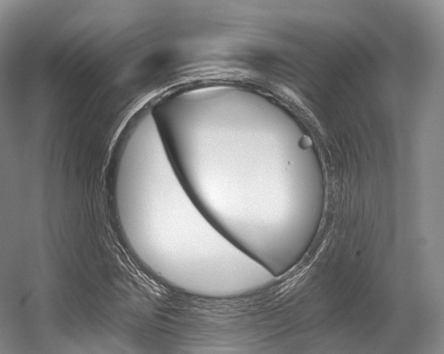 X0000056320875200508260848