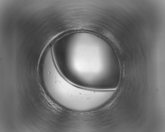 X0000056320876200508260848