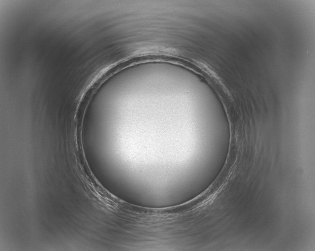 X0000056320877200508260848