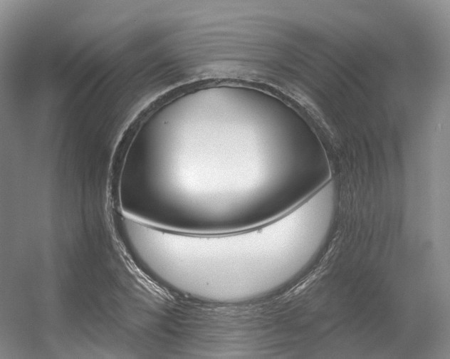 X0000056320880200508260848